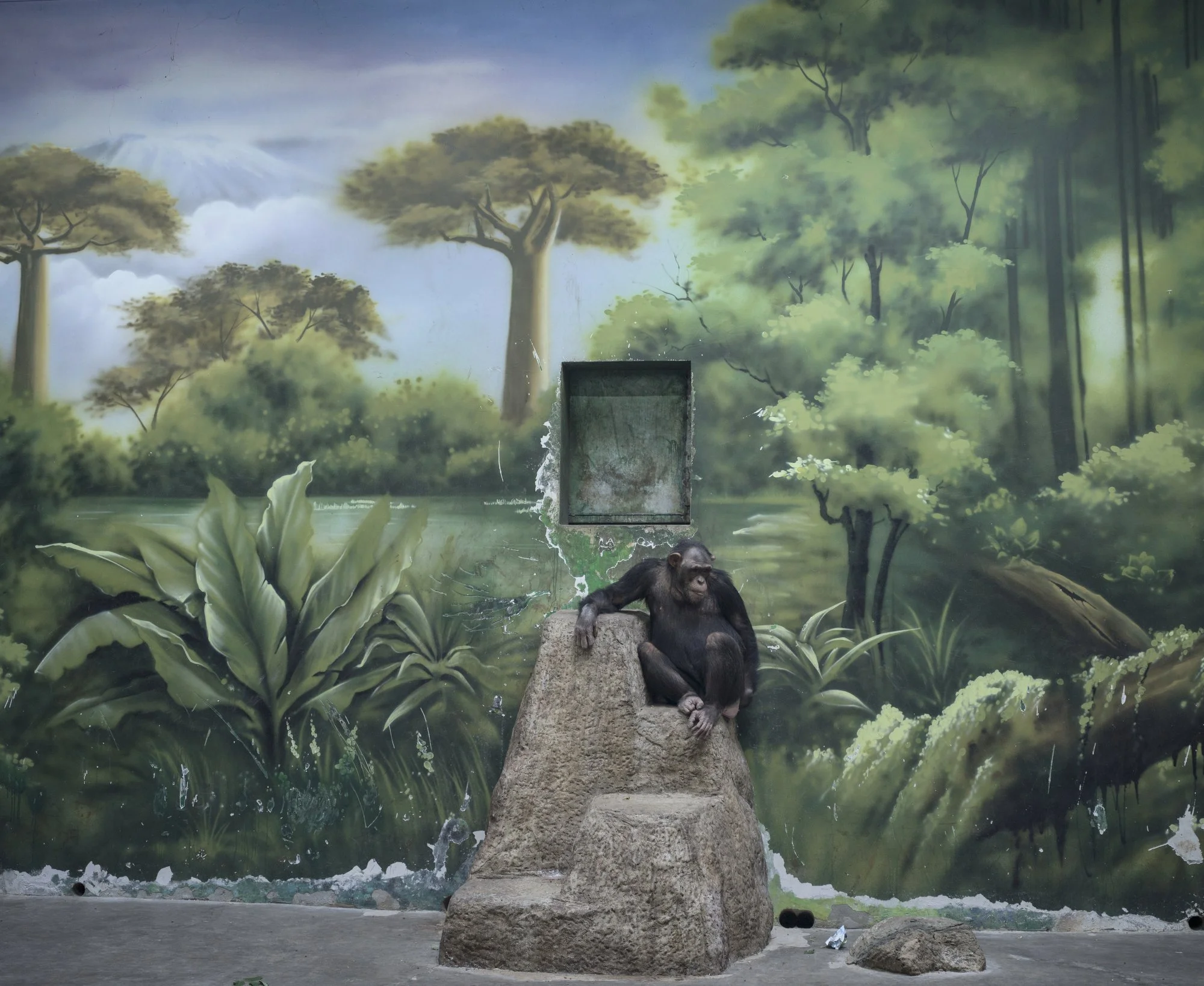 The Anthropocene Illusion — ZERO.NINE
